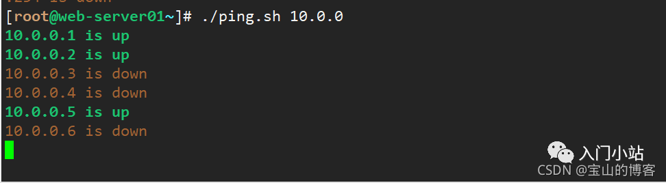 A Comprehensive Guide to Shell Scripting from Basics to Practical Applications