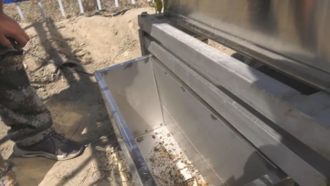 63rd Regiment Establishes IoT Pest Prediction and Control System to Support Smart Agriculture Development