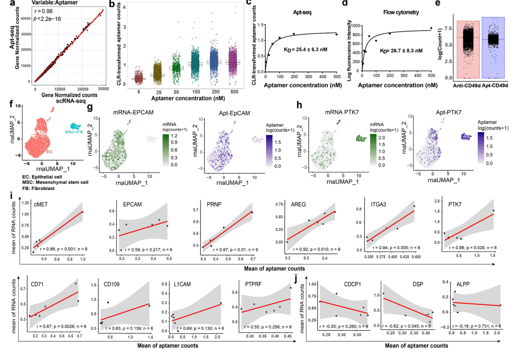 Literature Sharing | J Am Chem Soc: Quantitative Analysis of Single-Cell High-Throughput Multi-Omics Aptomics