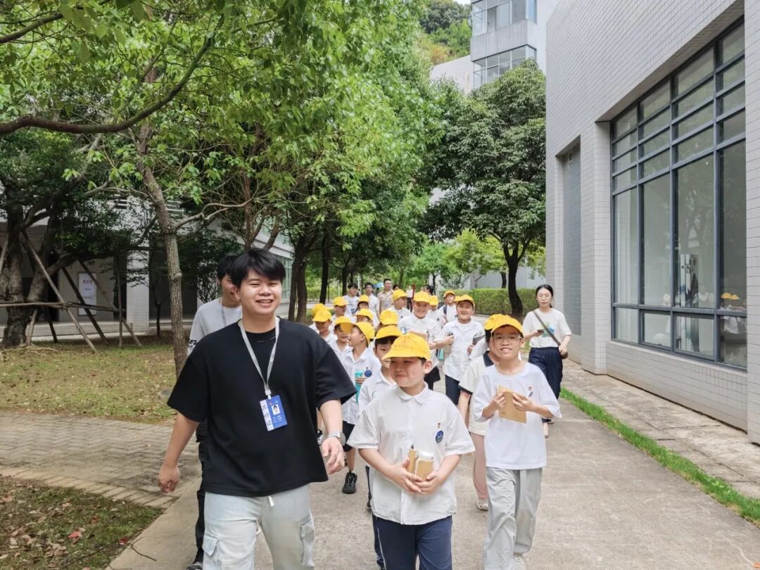 When Elementary School "AI Newbies" Meet University Laboratories