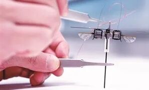 Versatile Micro Jumping Robot