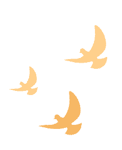 Party Building Leads to Collective Strength, Scientific Innovation Empowers Development