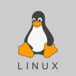 Introduction to Makefile Basics: From Compilation Novice to Automation Build Expert