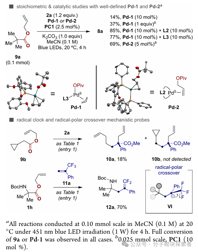 Photoinduced Decarboxylative Allylation: Dual Atom Substitution for sp3 Fragment Skeleton Editing