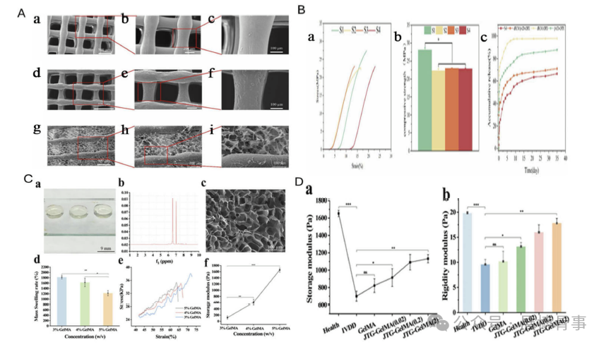 Innovative Solutions for Intervertebral Disc Degeneration: Breakthroughs in 3D Bioprinting by a South Korean Team
