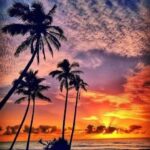 Subgroup Analysis of DANAMI-3-PRIMULTI: The Impact of Age on Prognosis After Complete Revascularization