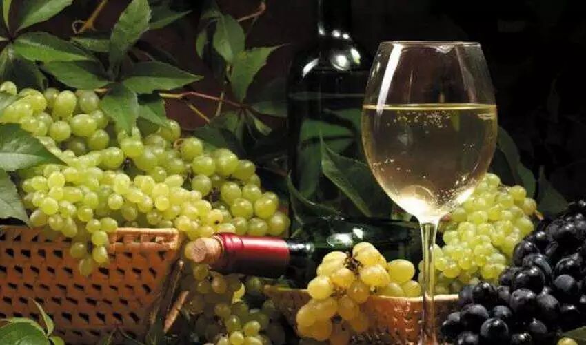 Homemade Foods Can Lead to ICU Visits! 7 Common Foods with DIY Risks