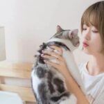 Summary of Basic Python Knowledge