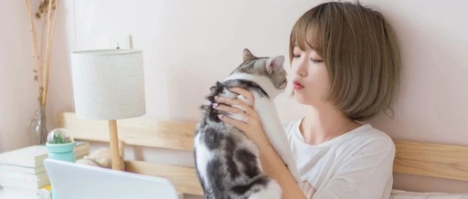 Summary of Basic Python Knowledge