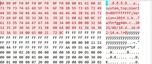 Analysis of the Header Information in Xilinx FPGA Bitstream Files