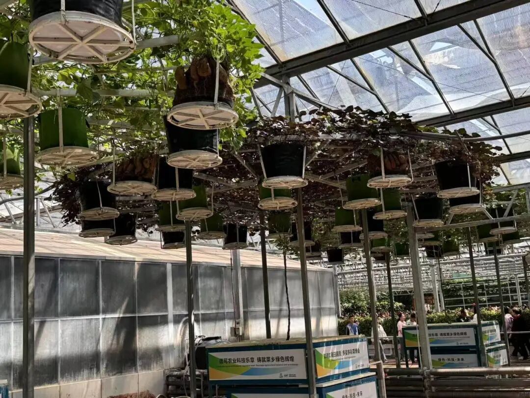 Robots as 'Farmers'! This Future Farm is Truly Impressive