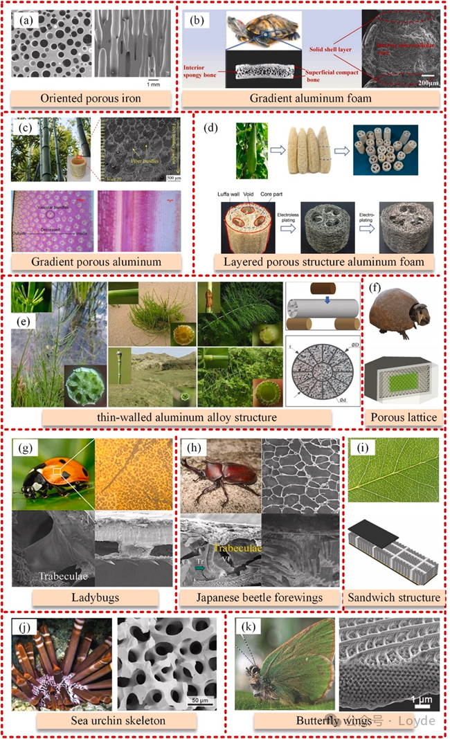 Introduction to Metal 3D Printing Solutions and Materials (Aluminum Alloy Powder, Copper Alloy Powder Series, Pure Copper Powder Series, and Binders)