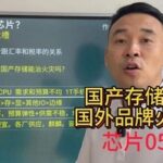 Can Domestic Chip 053 Storage Manufacturers Compete with Foreign Brands?