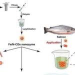 Literature Sharing | C.E.J | Fe/N-Doped Carbon Dots-Based Nanozyme with Super Peroxidase Activity, High Biocompatibility, and Antibiofilm Ability for Food Preservation