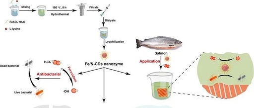 Literature Sharing | C.E.J | Fe/N-Doped Carbon Dots-Based Nanozyme with Super Peroxidase Activity, High Biocompatibility, and Antibiofilm Ability for Food Preservation