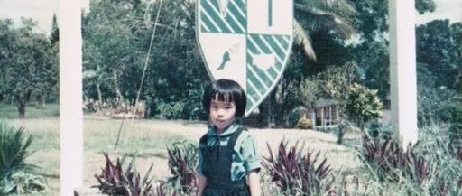 Chapter 2: The Various Faces of PMIC