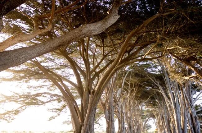 My Three Years in Yanjiao