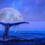 Comprehensive Python Tutorial for Beginners