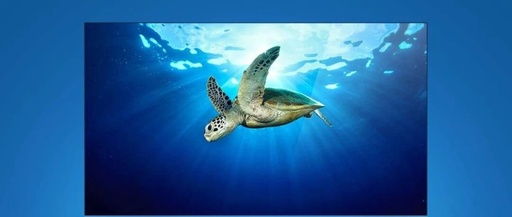 An Overview of the TFT-LCD Display Panel Industry