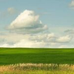 From Symbol Hijacking to Runtime Tracing in Linux: How to Function Hook, Audit Hijacking, and Function Instrumentation?