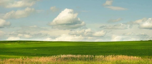 From Symbol Hijacking to Runtime Tracing in Linux: How to Function Hook, Audit Hijacking, and Function Instrumentation?