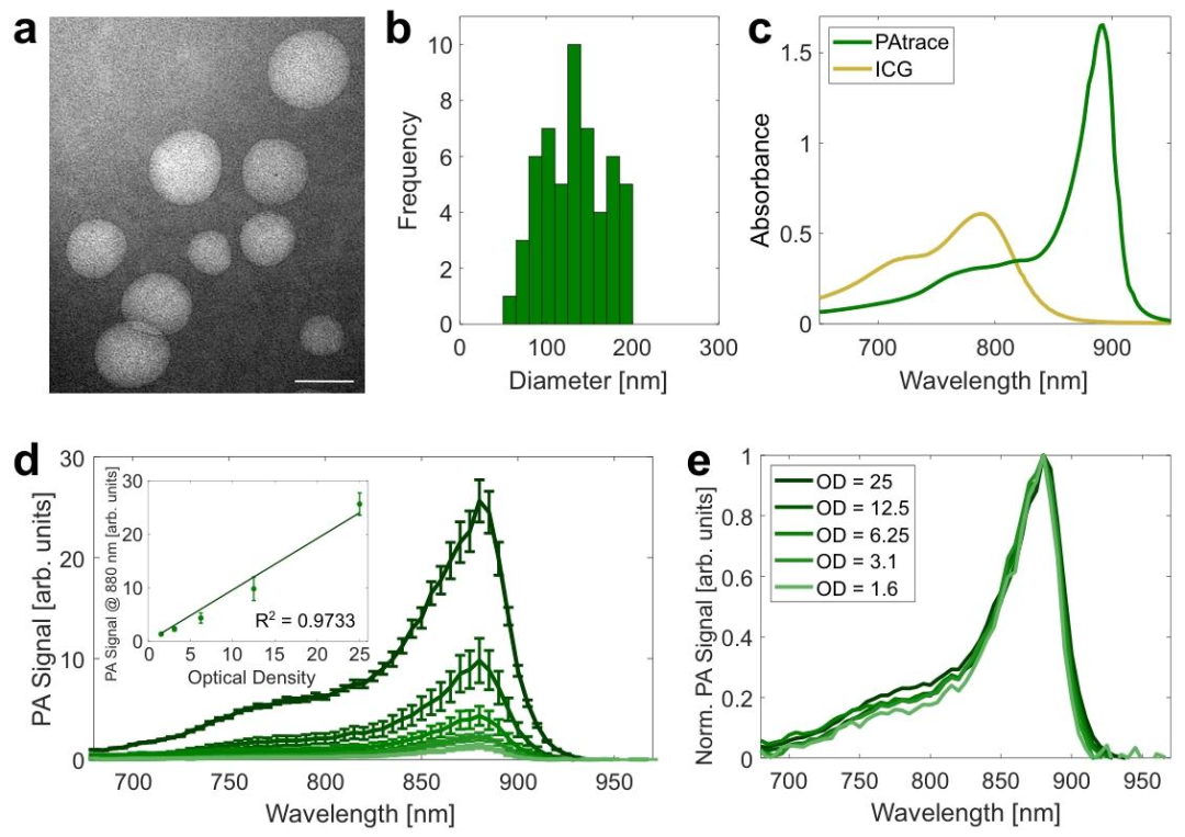 Nature Sub-Journal: Photoacoustic Imaging Technology for Precise Visualization of Tumor Microenvironments