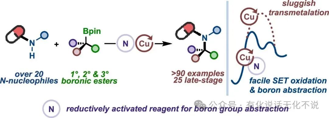 Goodbye Morpholine Radical