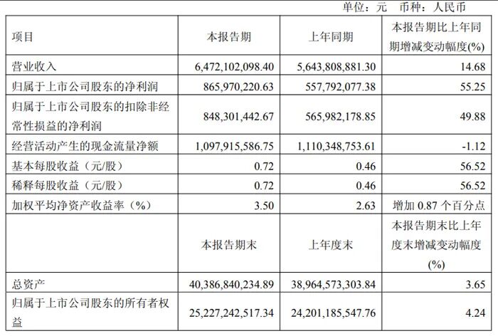 Summary of Q1 2025 Financial Reports from 20 Display Chip Companies Including Weir Shares, Allwinner Technology, and Rockchip