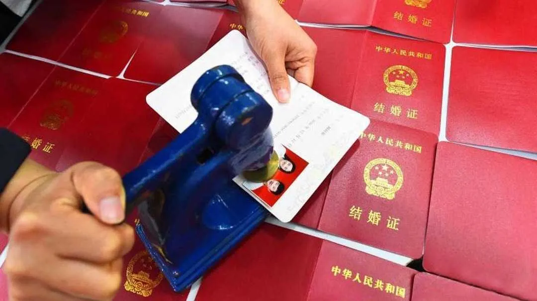 Dong Mingzhu Resigns as Chairman of Gree Chip Company, Claims No State Funding for Chip Development