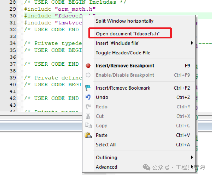 Operation Document for On-Chip Digital Filters of STM32 Microcontroller