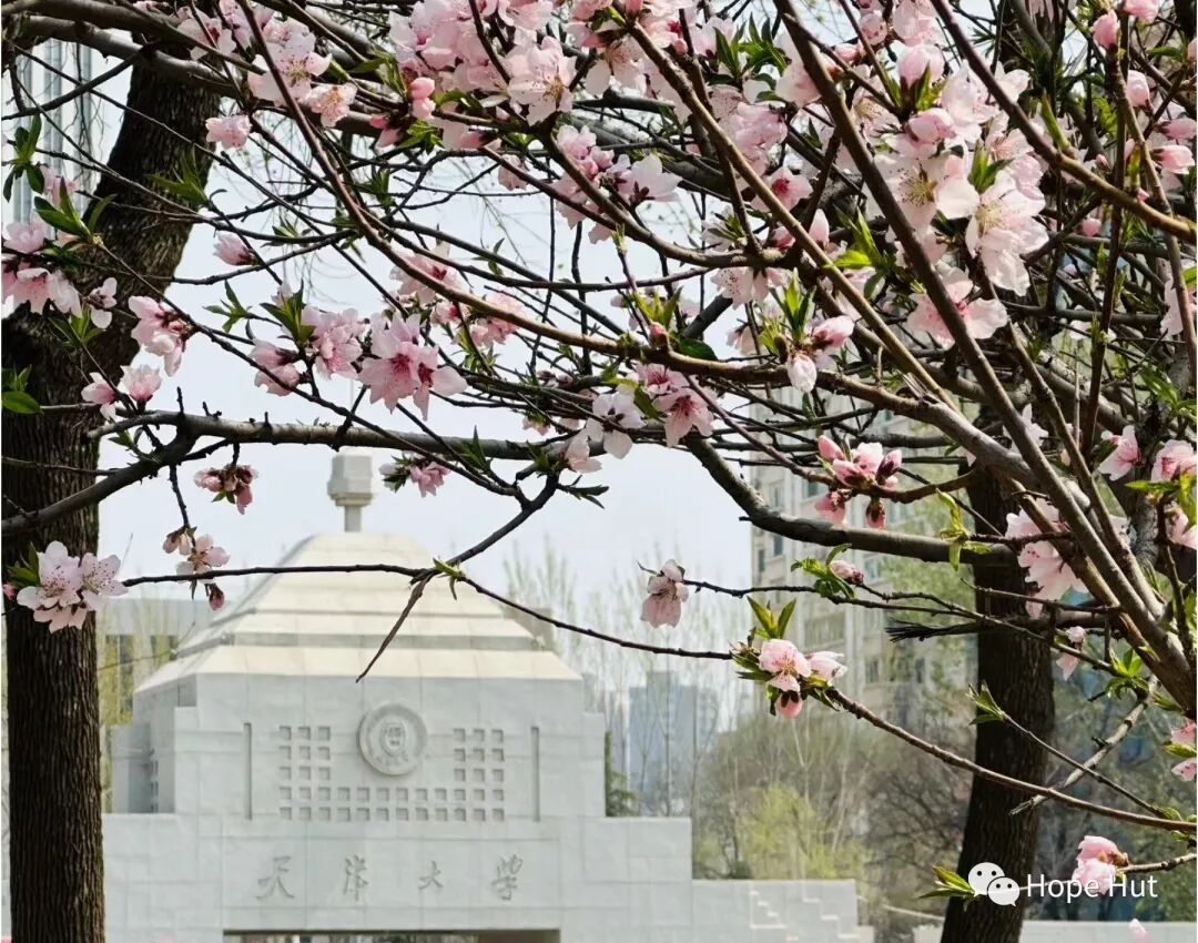 CMake: Detecting External Libraries - Custom Find Module