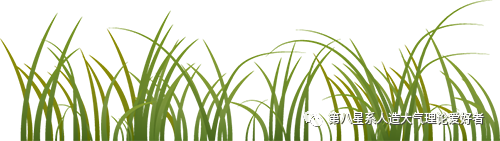 MATLAB Visualization of Spatial Distribution of Correlation Coefficients