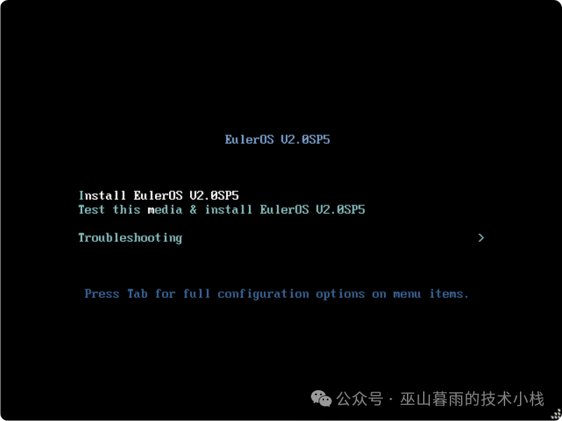 Tutorial for Installing Euler OS on ESXi Virtualization