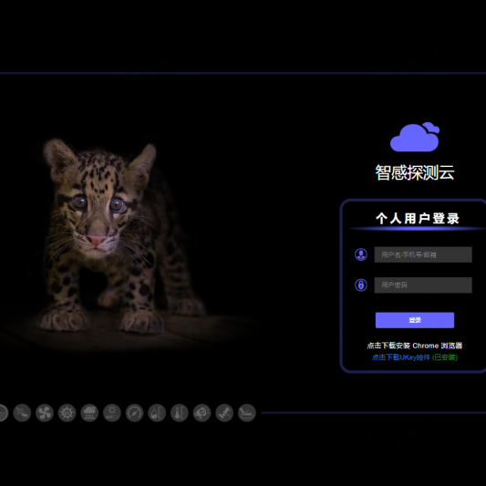 Building Secure Links: Technical Focus on Encrypted Remote Wireless Networking Transmission System Solutions!