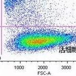 Cell Viability Assessment Using PI, 7-AAD, and DAPI in Flow Cytometry