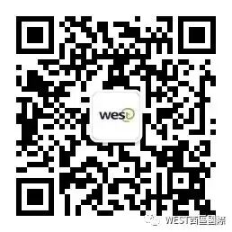 Analysis of Domestic and International Drone SoC Companies