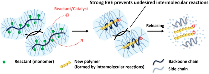 Single-Molecule Reactor Based on the Excluded Volume Effect of Bottlebrush Polymers