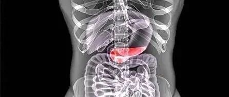 Major Breakthrough: 3D Printing of Human Insulin! Diabetes May Say Goodbye to Injections