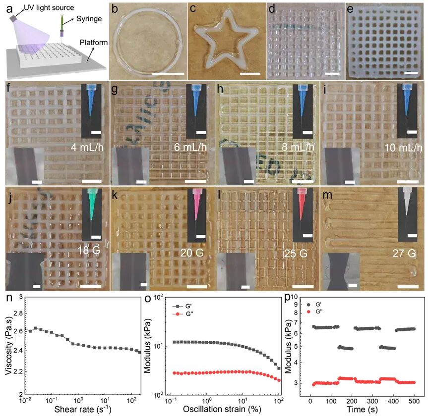 Multimodal Microfluidic 3D Printing of Hydrogel for Low-Temperature Polymerization