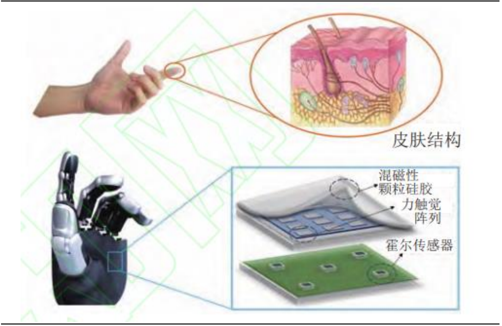 What Chemical Materials Are Involved in Humanoid Robots?