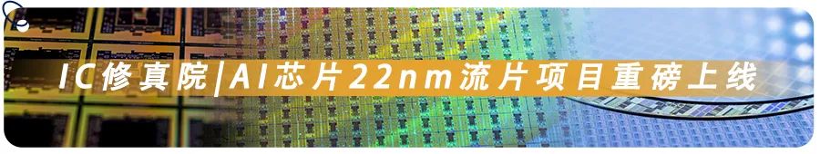 Completing a Simulation IC Tape-Out Project and Joining a Renowned IC Company!