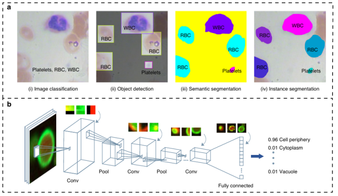 A Novel Label-Free Method for High-Throughput Single-Cell Analysis Integrating Computer Vision and Microfluidics