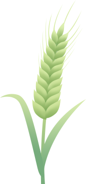 A Beginner's Guide to Downloading and Activating Proteus 8.13