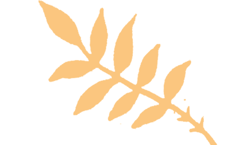 2025 Anhui Province Robot Competition Microcontroller and Embedded Systems Preliminary Round Successfully Held at Huainan Normal University