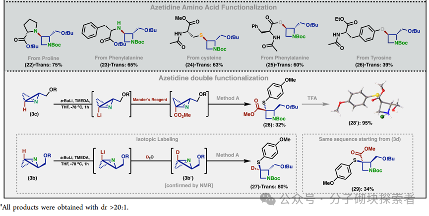 Synthesis of Stereocontrolled Azetidine Library via Strain-Release Functionalization of 1-Azabicyclobutanes
