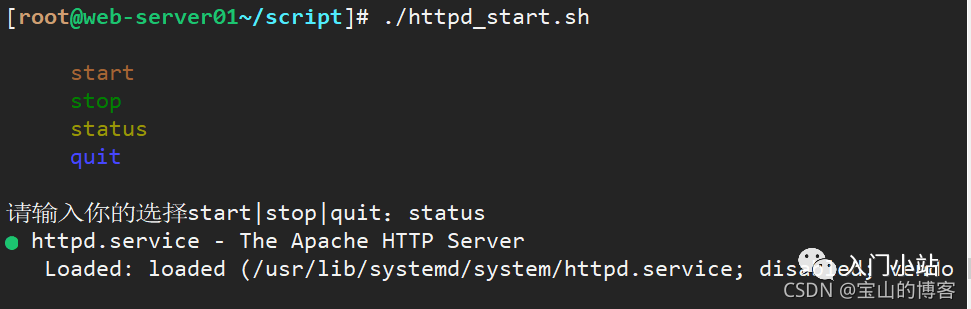 A Comprehensive Guide to Shell Scripting from Basics to Practical Applications