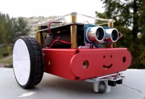 Chickbot: An Affordable DIY Programmable Robot Encouraging Hands-On Learning for Children