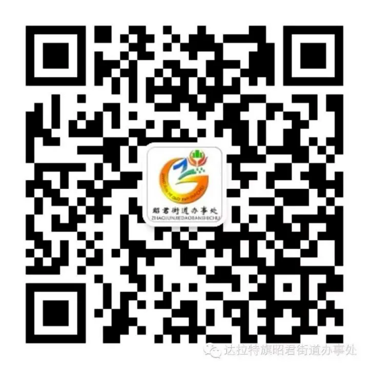 Zhaojun Street Taixing Community: Achieving a New Vision of Ethnic Unity through Three 'Embedded' Services