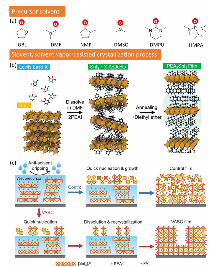 Review by Wang Jianpu & Huang Wei from Nanjing University of Technology: Tin Halide Perovskite Light Emitting Diodes