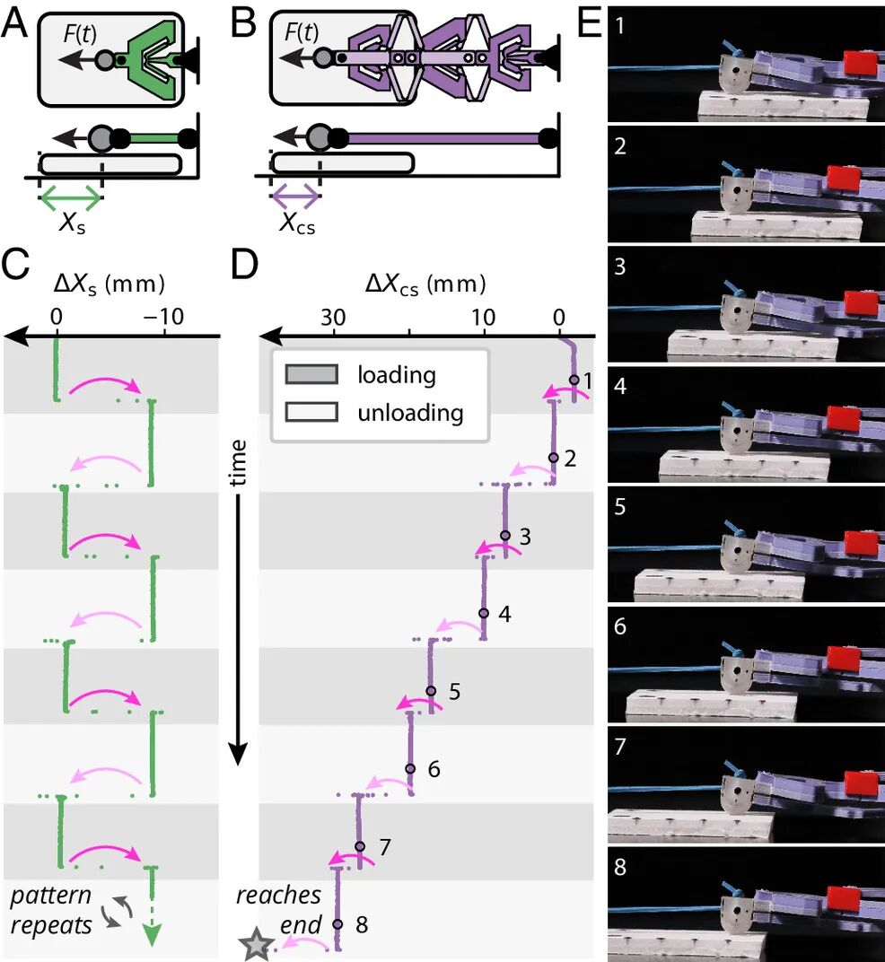 Revolutionary Insights! The Amazing 3D Printed Structure That Shortens When Stretched